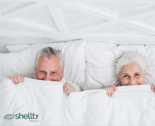 Shellty Home - Image 3